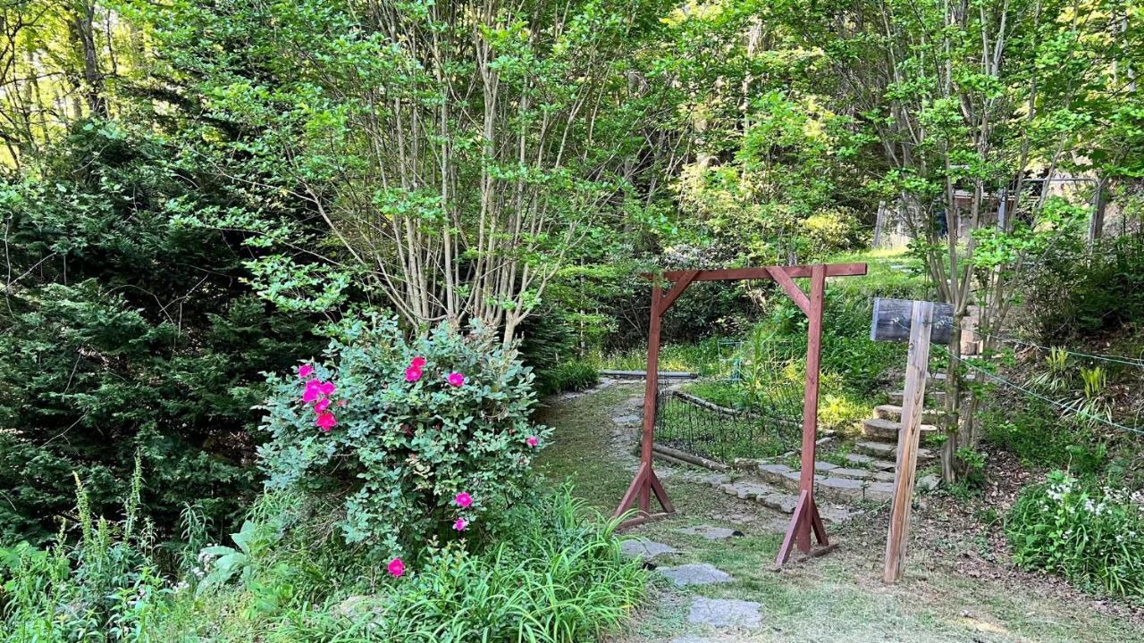 Misty Mountain Cottage Waynesville Exterior photo
